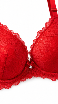 Détail soutien-gorge rouge en dentelle – Désir Précieux – Gilles de Beaumont